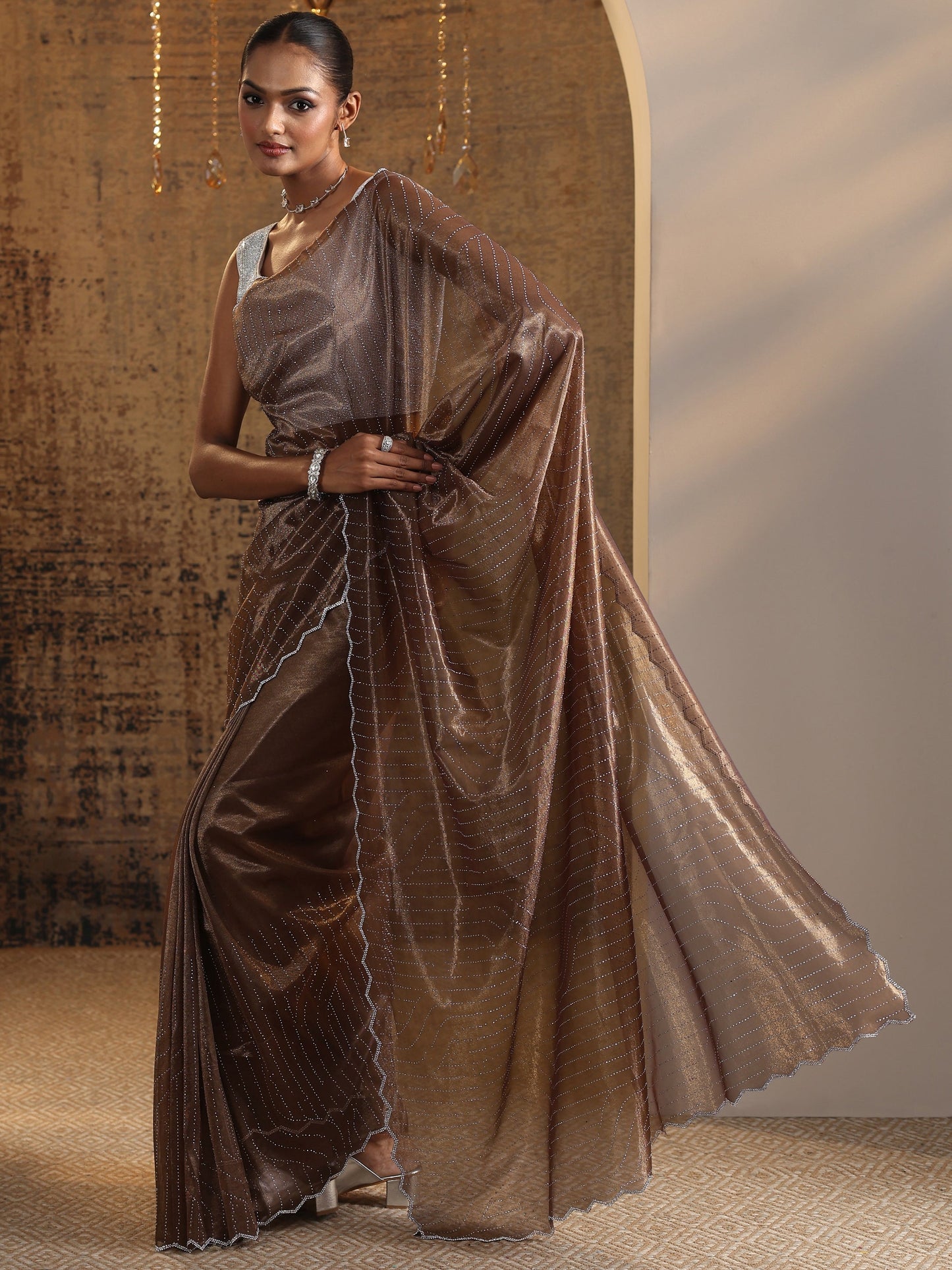 Brown Embellished Jimmy Choo Organza Saree With Unstitched Blouse Piece