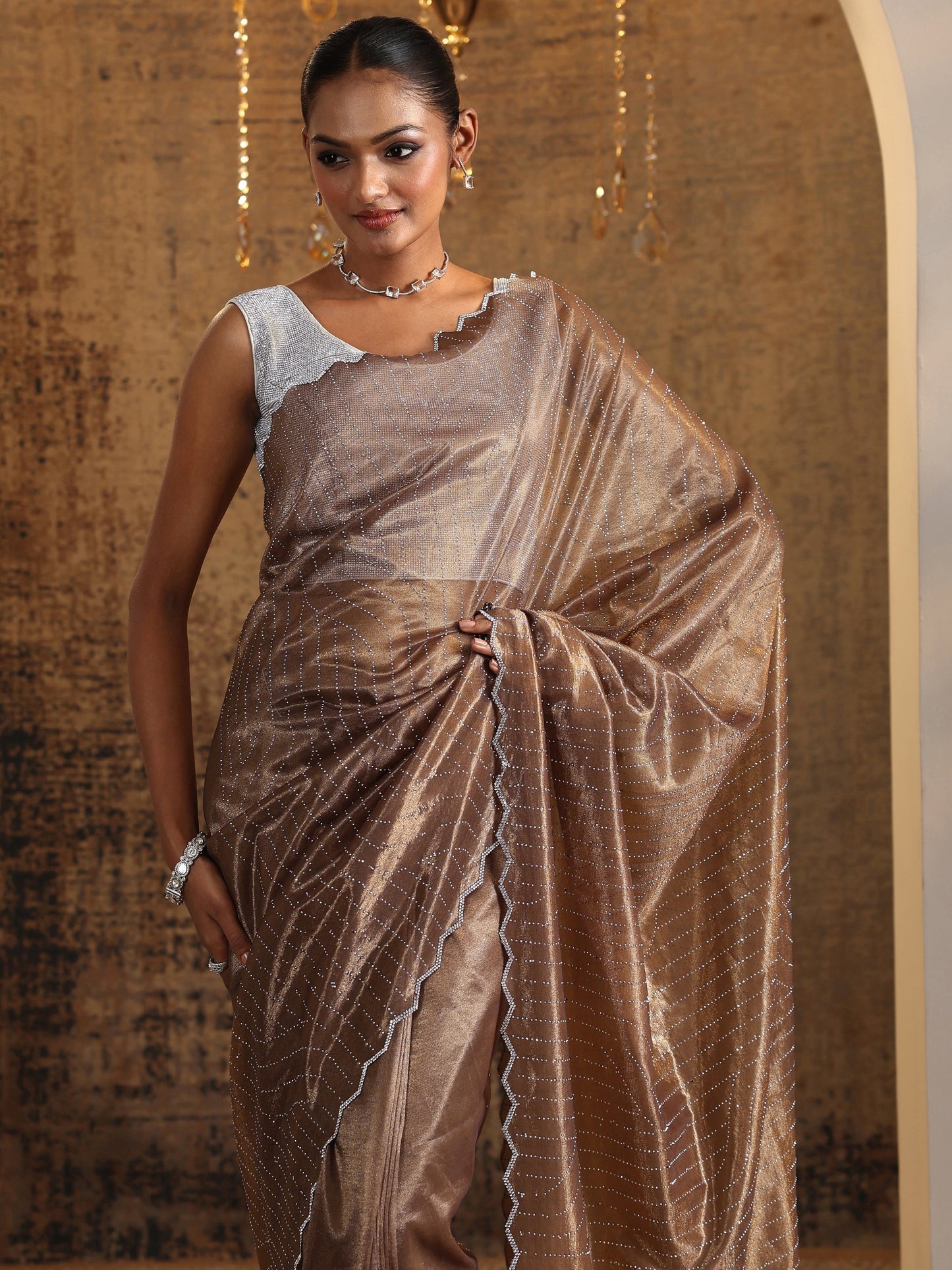 Brown Embellished Jimmy Choo Organza Saree With Unstitched Blouse Piece