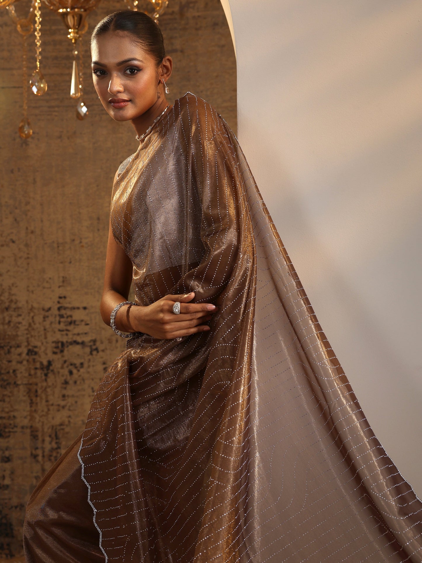 Brown Embellished Jimmy Choo Organza Saree With Unstitched Blouse Piece
