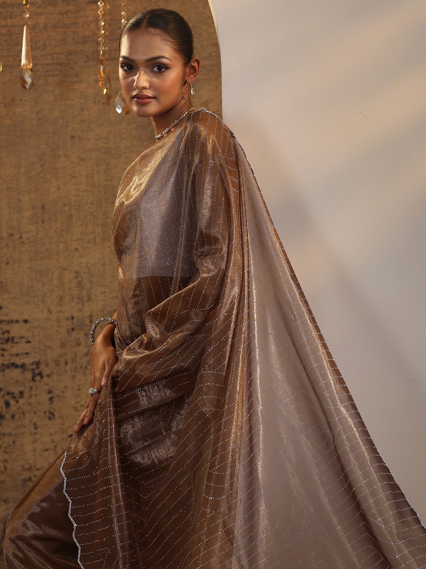 Brown Embellished Jimmy Choo Organza Saree With Unstitched Blouse Piece