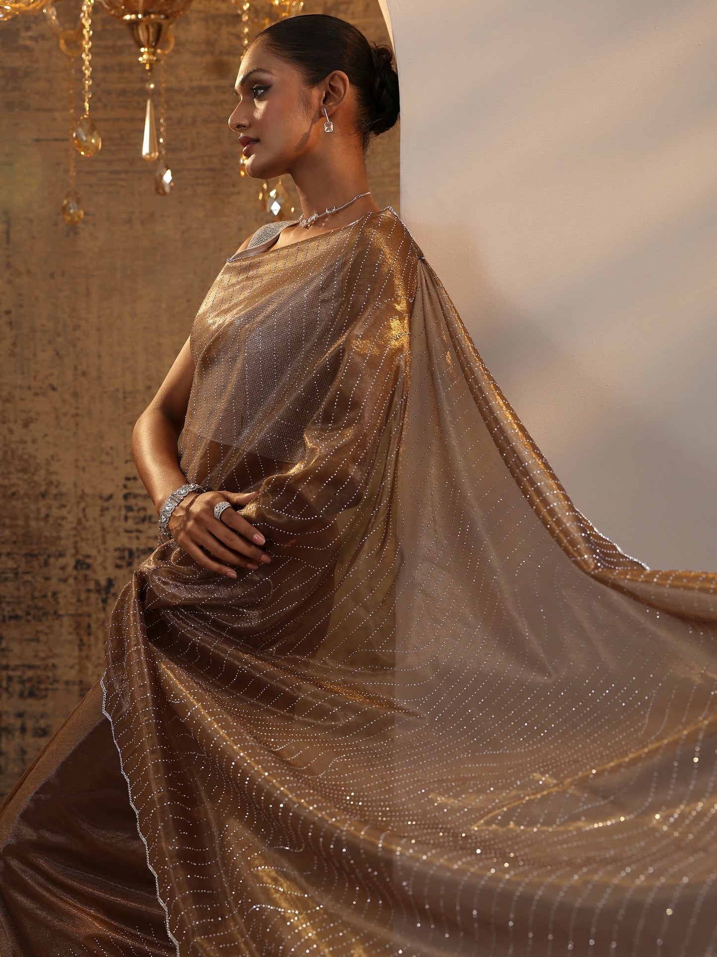 Brown Embellished Jimmy Choo Organza Saree With Unstitched Blouse Piece